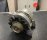 NISSAN Bluebird 1.6 2310002504, 2310005B10, 2310010B10, 2310027G00, 2310027G10, 23100A4M10, 23100H7700, 23100H7701, 23100H7702, 23100H7703, 23100H7710, 23100H7711, 23100M5960, 23100M5961, 23100M6600, 23100M6601, 23100M6610, 23100N9500
